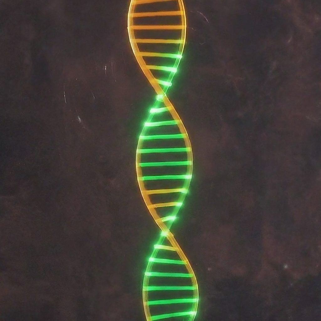 DNA Discovery